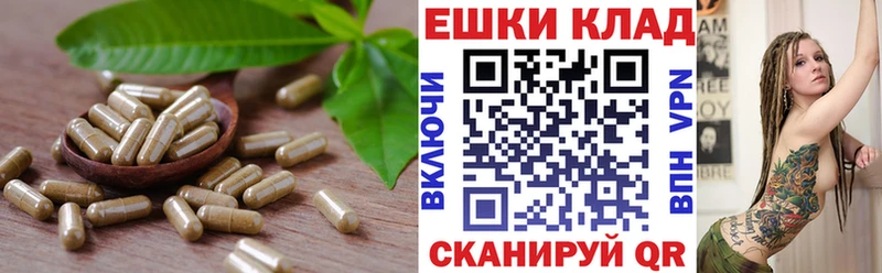 купить  цена  Власиха  Ecstasy Дубай 