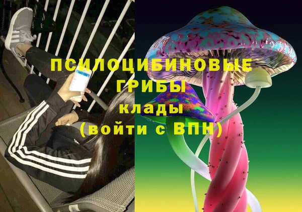 эйфоретик Новозыбков